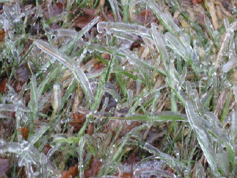 dicke Eisschicht auf Rasenfläche